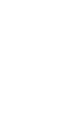 Bliksem Animatie